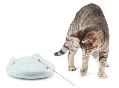 Het beste speelgoed voor katten online kopen – Ontdek Fidello’s Unieke Collectie