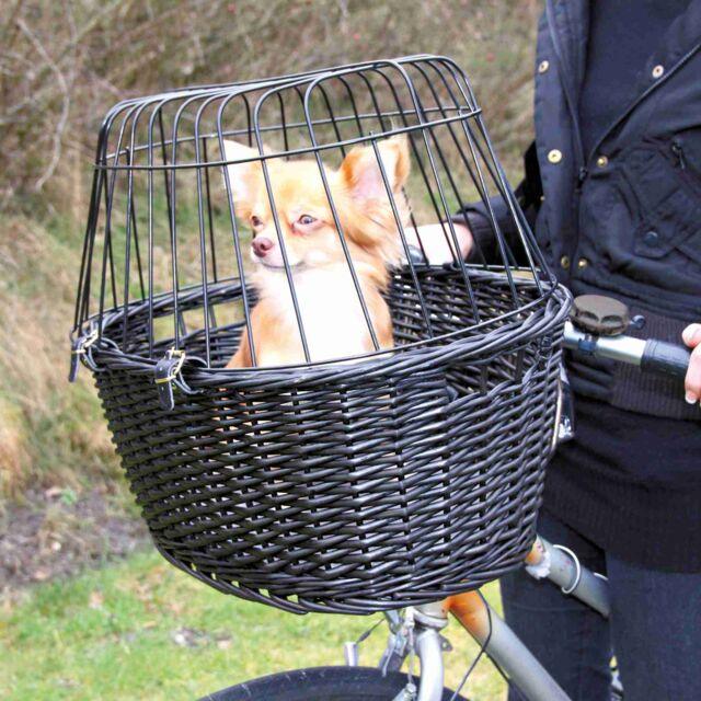 Fietsen met je hond: kies de juiste fietsmand of hondenbuggy