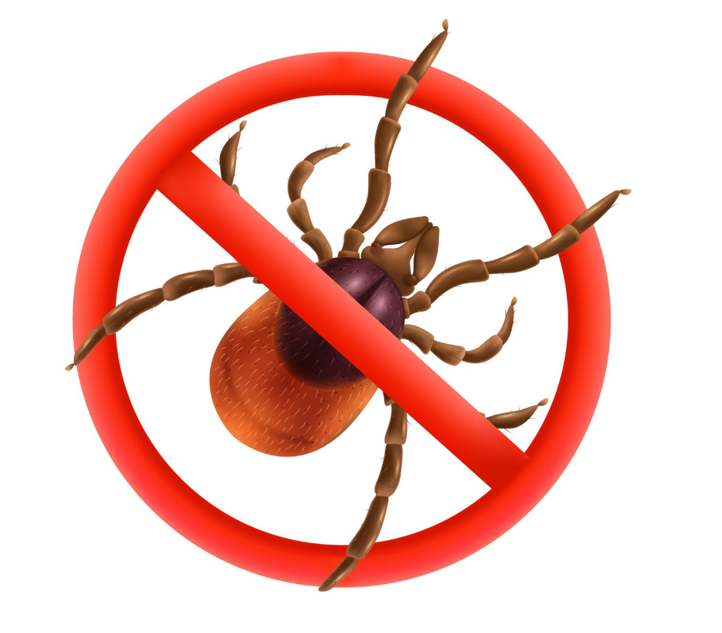 9 veelgemaakte fouten bij vlooien- en tekenbestrijding (en hoe je ze voorkomt)