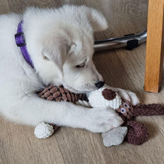 Collection image for: Binnenspeelgoed