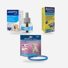 Vuurwerkangst bij honden en katten - Fidello