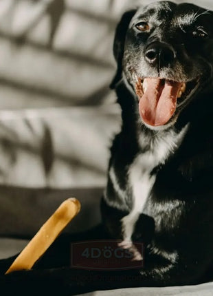 4DOGS Gryzak z sera himalajskiego Churpi Original XL