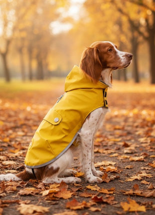 Zolux Kurtka Płaszcz wodoodporna Saint Malo R.30 żółta