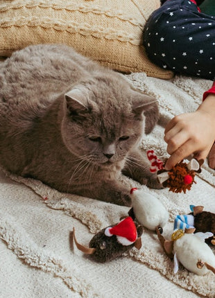 Dingo Zabawka dla kota - Jeżomyszka MOP