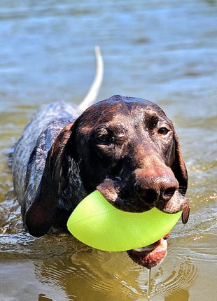 Dingo Zabawka dla psa - Piłka świecąca Play & Glow 14x8cm