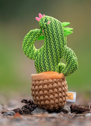 Dingo Zabawka dla psa - Kaktus Dolores 19cm