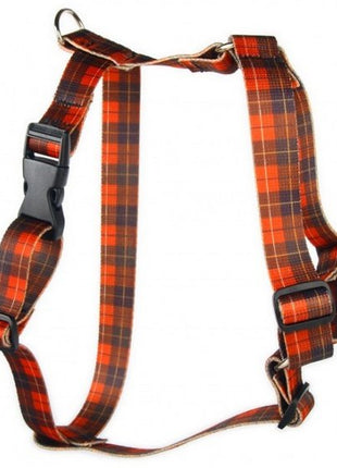 Matteo Szelki Guard 15mm szkocka krata