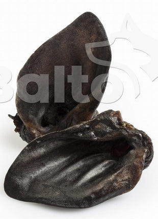 Balto Ucho dzika 1szt