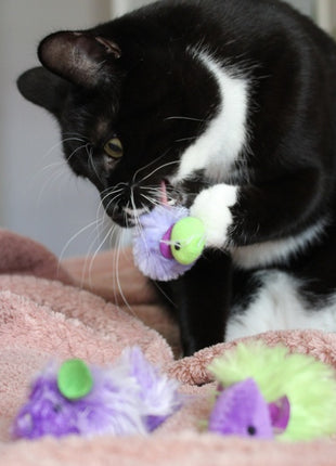 Dingo Zabawka dla kota - Myszki Disco 2szt