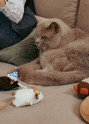 Dingo Zabawka dla kota - Mysz Angelo 1szt