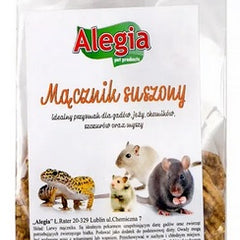 Alegia Mącznik suszony 60g