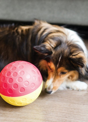 Nina Ottosson Dog Treat Tumble Large 13cm - gra edukacyjna [67327]