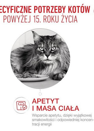 Royal Canin Ageing +15 karma sucha dla kotów dojrzałych 4kg