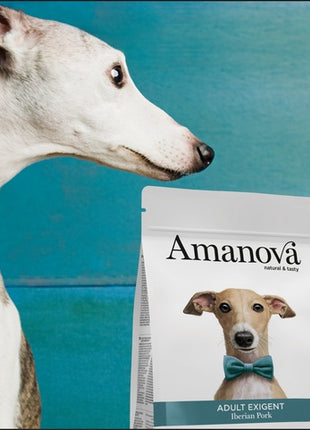 Amanova Dog Adult Exigent Iberian Pork - wieprzowina 2kg