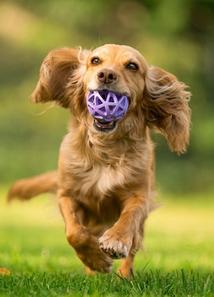 Toby's Choice Spiderweb Ball Small [TC10026]