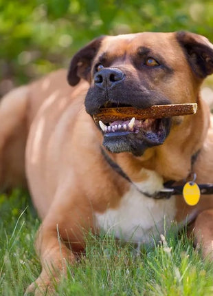 4DOGS Gryzak z poroża L easy