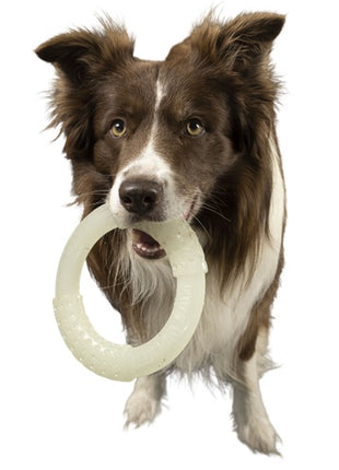 Kiwi Walker Let's Play Glow Ring Mini