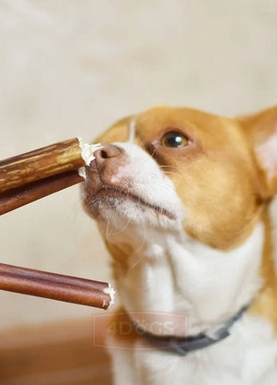 4DOGS Gryzak z penisa wołowego M