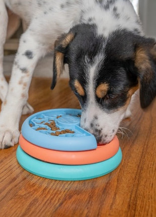 Nina Ottosson Lickin Layers Puppy - gra edukacyjna [70886]