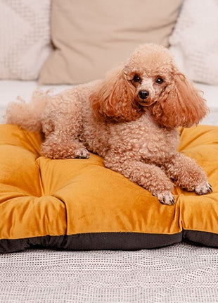 MIMIKO Pets Legowisko Poducha Velvet 70x50cm musztarda