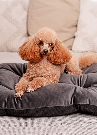 MIMIKO Pets Legowisko Poducha Velvet 70x50cm grafit