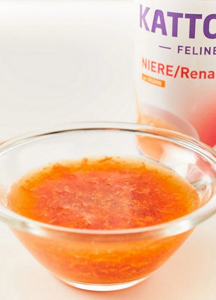Kattovit Feline Drink Niere/Renal kurczak napój 135ml