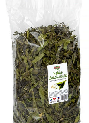 Alegia Babka lancetowata 300g