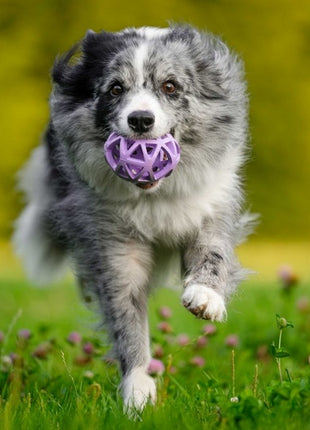 Toby's Choice Spiderweb Ball Medium [TC10027]