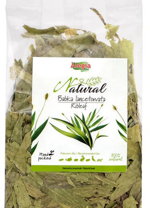 Alegia Babka lancetowata 100g