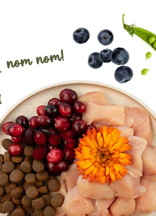 Sanabelle Adult Grande 2kg