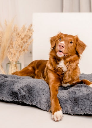 MIMIKO Pets Legowisko Shaggy prostokątne XL 85x65cm grafitowe