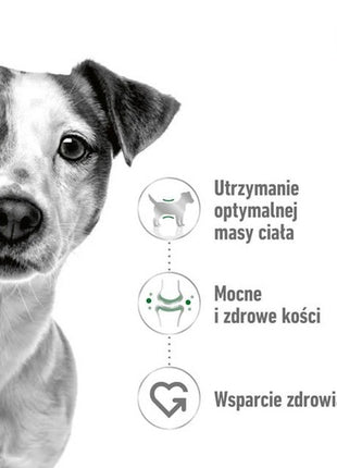 Royal Canin Mini Adult karma sucha dla psów dorosłych, ras małych 4kg