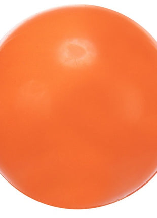 Trixie Piłka gumowa 8cm twarda [TX-3303]