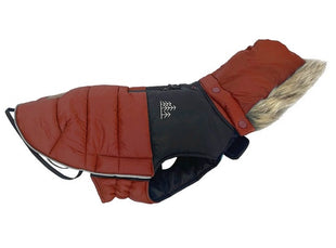 Zolux Kurtka puchowa dla psa New Mountain R.35 ceglasta