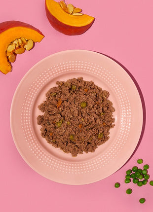 Amanova Dog Adult Tasty Salmon & Turkey - łosoś i indyk saszetka 300g [P06]