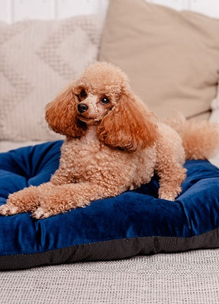 MIMIKO Pets Legowisko Poducha Velvet 70x50cm granat