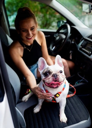 Matteo Szelki Guard 20mm graffiti czerwone