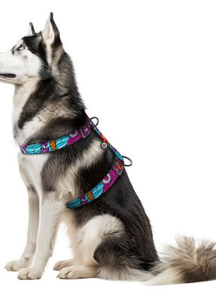 Collar WauDog Nylon Szelki nylonowe anatomiczne w kształcie litery H, z QR-paszportem, plastikowy fastex, wzór LATO, rozmiar XL 35mm