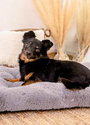 MIMIKO Pets Legowisko Shaggy prostokątne L 65x45cm szare