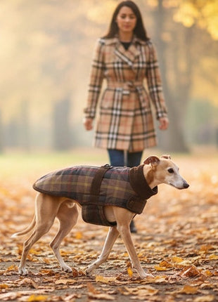 Zolux Kurtka w kratę dla psa Cheverny R.30 brązowa