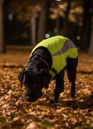 Zolux Kamizelka odblaskowa R.45 żółta
