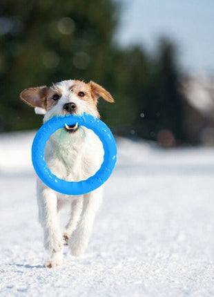 Collar PitchDog17 Pierścień do aportowania 17cm niebieski