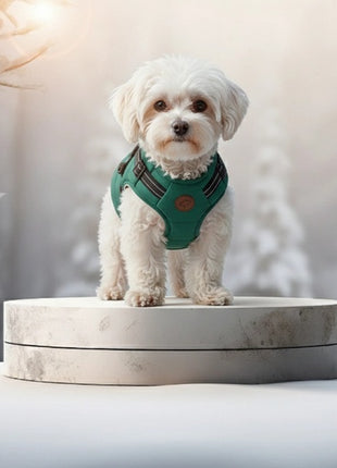 Zolux Kurtka puchowa z szelkami dla psa R.35 niebieska