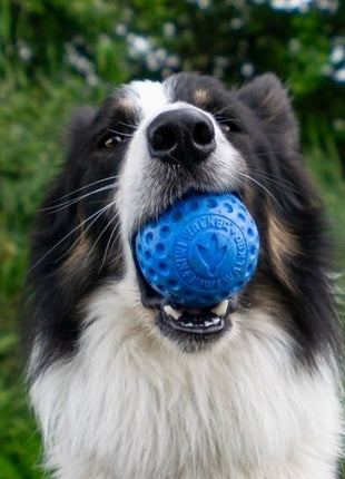 Kiwi Walker Let's Play Ball Mini piłka pomarańczowa