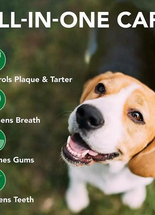 Vet's Best Dental żel + szczoteczka zestaw Adult