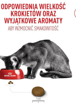 Royal Canin Fussy Exigent karma sucha dla kotów dorosłych, wybrednych 400g