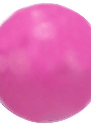 Trixie Piłka gumowa 8cm twarda [TX-3303]