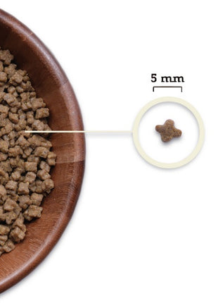 Acana Highest Protein Kitten 1,8kg