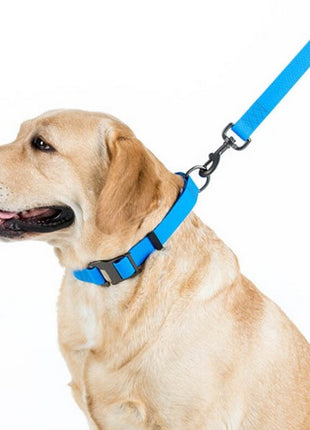 Collar Waterproof Smycz wodoodporna L-XXL 25mm/183cm niebieska