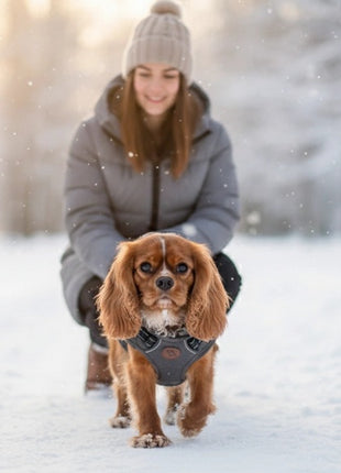 Zolux Kurtka puchowa z szelkami dla psa R.40 szara